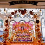 Obtiene chihuahuense primer lugar en concurso a nivel mundial 2 Imagen de WhatsApp 2022 11 18 a las 15.52.22