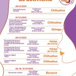 Imagen de WhatsApp 2022 11 24 a las 12.00.04