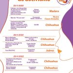 Imagen de WhatsApp 2022 11 24 a las 12.00.06