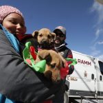 63e7f7c690d84 63e7f7c690d85