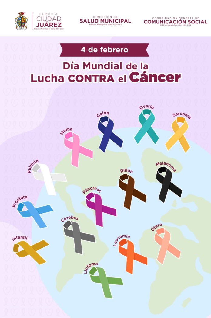 63f91f7903530__63f91f7903531