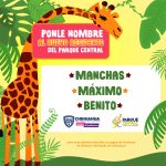 5413318E AB93 4CC0 855E 9E2F12BB5FAF