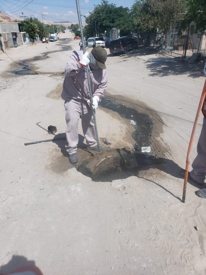 Imagen de WhatsApp 2023-05-17 a las 15.20.45