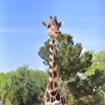 Imagen de WhatsApp 2023 05 25 a las 19.42.56