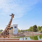 Imagen de WhatsApp 2023 05 25 a las 19.43.00