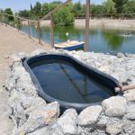 Invertirán un millón de pesos para mejorar hábitat de Benito en el Parque Central 1 Imagen de WhatsApp 2023 06 08 a las 16.19.36