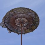 Invertirán un millón de pesos para mejorar hábitat de Benito en el Parque Central 2 Imagen de WhatsApp 2023 06 08 a las 16.19.37