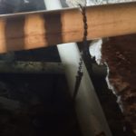 Imagen de WhatsApp 2023 06 30 a las 09.50.48