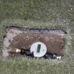 Imagen de WhatsApp 2023 07 15 a las 07.10.21