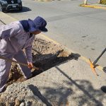 Imagen de WhatsApp 2023 08 25 a las 11.17.26