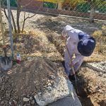 Imagen de WhatsApp 2023 08 25 a las 11.17.27