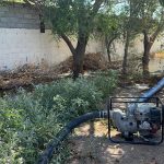 Imagen de WhatsApp 2023 08 29 a las 11.2