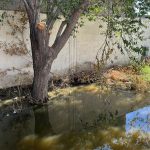 Imagen de WhatsApp 2023 08 29 a las 11.24.45