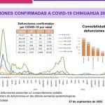 COVID-19: Se reportan 1,042 casos confirmados en el estado 3 E5193739 37B1 47B1 99C2 58B14C82C3C4