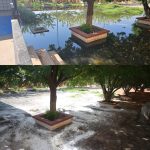 Inicia clases la Secundaria Técnica 89 tras labores de limpieza de la J+ 1 Imagen de WhatsApp 2023 09 04 a las