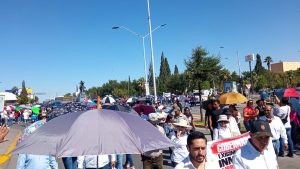 WhatsApp Image 2023 09 08 at 10.49.43 1