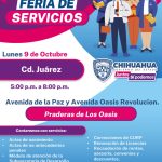 407255FD F39C 4279 95CC 62C10E1535C8