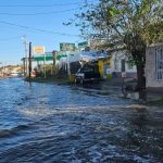 971B6707 2537 4434 BADC 9B847876E6B7