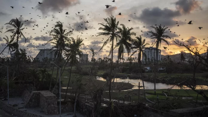 El huracán Otis devastó parte del estado de Guerrero, en México. - Sputnik Mundo, 1920, 01.11.2023