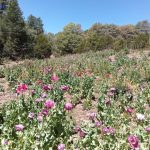 3B753402 174E 4988 B4D6 47E534E3743C