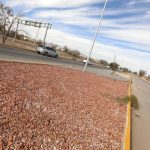 65666a740e849 65666a740e84b