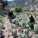 7BEA9F9D 1DF6 41A9 8A0D 44F14D2A66B6