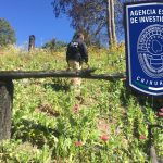 A95073CF 44EB 40AE AA25 43708B352FD6