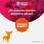 Imagen de WhatsApp 2023 11 01 a las 11.00.20 2f813365