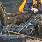 Imagen de WhatsApp 2023 11 22 a las 15.30.55 00fc1612