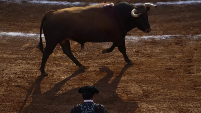 Las corridas de toros fueron suspendidas en la Ciudad de México desde 2022. - Sputnik Mundo, 1920, 08.12.2023