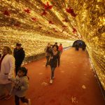 658caf170e208 658caf170e20a