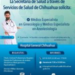 Imagen de WhatsApp 2023 12 22 a las 10.01.12 1461021f