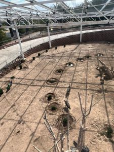 WhatsApp Image 2023 11 29 at 16.37.50 1