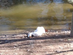 WhatsApp Image 2023 11 29 at 16.37.50 2