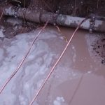 7289FA0E 2D07 42EC 8A12 05CC6887C2A9