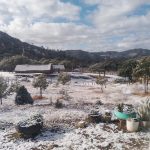 C41F3336 66E1 4EB1 8FC1 48B643876337