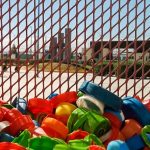 Imagen de WhatsApp 2024 01 05 a las 09.39.38 6d32ea50