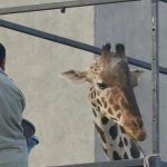 Imagen de WhatsApp 2024 01 22 a las 12.16.06 cd236aaa