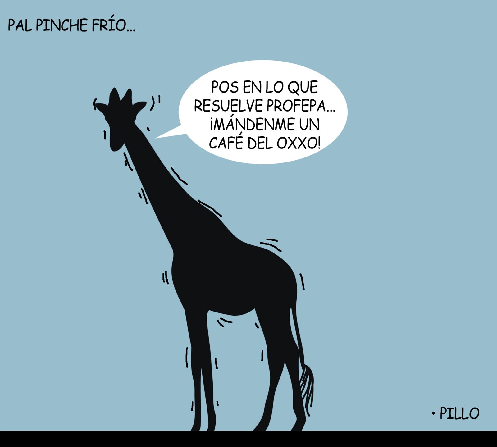 PILLO | Pal pinche frío... 2 WhatsApp Image 2024 01 11 at 3.16.02 PM