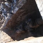 Imagen de WhatsApp 2024 02 12 a las 12.08.17 e86b3e8e