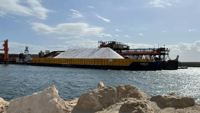 Instalaciones de  Exportadora de Sal S.A. de C.V. (ESSA)  - Sputnik Mundo, 1920, 07.03.2024