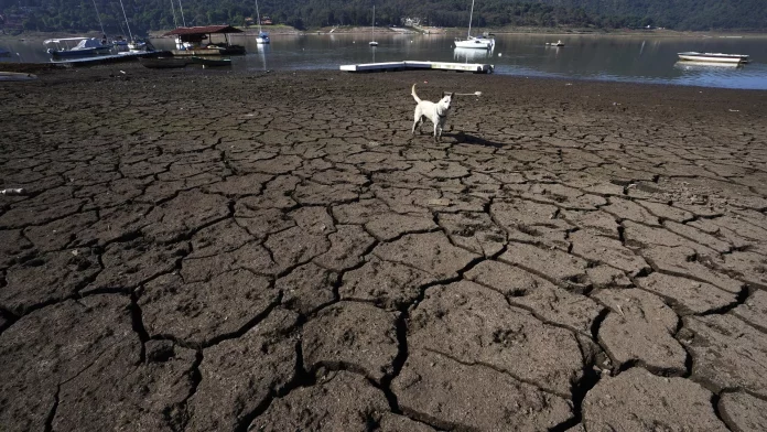 Un perro se encuentra en las orillas agrietadas y expuestas de la presa Miguel Alemán en Valle de Bravo, México (imagen ilustrativa)  - Sputnik Mundo, 1920, 19.03.2024