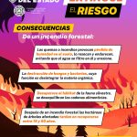 Emite Protección Civil Estatal recomendaciones para prevenir incendios forestales 1 7A76897C 90D2 4B61 9708 D8B69A6DAD0C