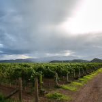 Cinco destinos turísticos de Chihuahua participan por los premios “Lo Mejor de México” 4 E57BD77E EDEC 4B83 AE99 B95940466B8F