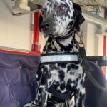 6627f996c05b2 6627f996c05b3