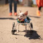 Imagen de WhatsApp 2024 05 02 a las 18.35.12 99f35b9d