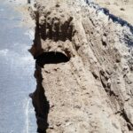 Repara la J+ hundimiento en Blvd. Juan Pablo II 1 Imagen de WhatsApp 2024 05 16 a las 11.42.20 3c6a52f1