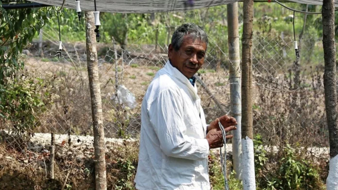 Beneficiario del programa Sembrando vida en el estado de Guerrero. - Sputnik Mundo, 1920, 11.06.2024