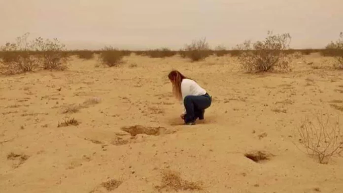 Cecilia Flores, fundadora de las Madres Buscadoras de Sonora - Sputnik Mundo, 1920, 18.06.2024