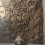 1D599847 0CBD 4570 A8A6 A8A40E1EB4BA